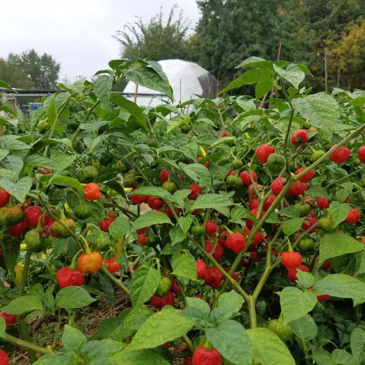 20191003_133958 (1)-min